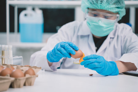 Food scientists are preparing to separate egg tissues for research in a science lab. Studying the nutritional benefits of eggsの写真素材