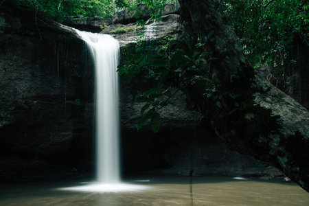 In the heart of the tropical jungle, a majestic waterfall cascades into the river, blending...