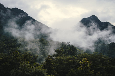 In the morning, the mountain landscape is shrouded in mist and fog, with clouds drifting across the...