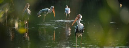 In the mangrove forest, a group of ornithologists studied a wild flock of birds, deepening their...
