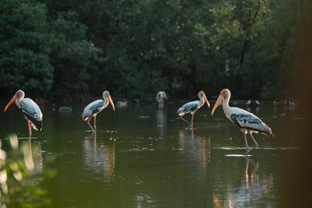 In the mangrove forest, a group of ornithologists studied a wild flock of birds, deepening their...