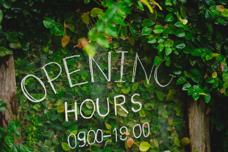 the open shop displayed vibrant signs inviting all to explore local businesses and charming cafes,...