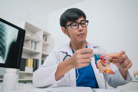 In the clinic, the cardiology team used a detailed model to explain the anatomy of the heart,...