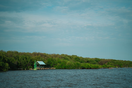 On a summer day, the green mangroves of the island meet the sparkling sea and clear sky, blending natureâs vibrant colors into a breathtaking coastal landscape.の写真素材