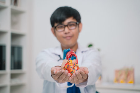 At the hospital, the cardiologist reviewed the anatomy of the heart with the patient, explaining the...