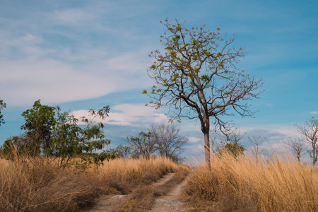 The rocky ground meets soft clouds, creating a stunning landscape that inspired awe and a deep love for nature.の写真素材