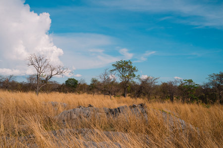 The mountain rose high into the sky, its rocky ground meeting soft clouds, creating a stunning...