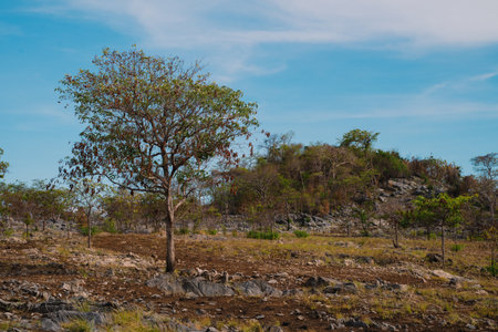 The mountain rose high into the sky, its rocky ground meeting soft clouds, creating a stunning landscape that inspired awe and a deep love for nature and travel.の写真素材