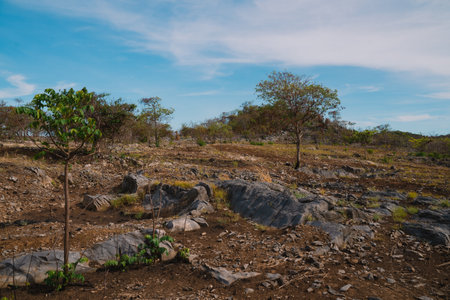 The rocky ground meets soft clouds, creating a stunning landscape that inspired awe and a deep love...