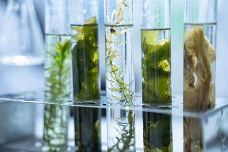 In the green laboratory, biology researchers conduct experiments on plant samples, using advanced equipment to test hypotheses and further their research in plant science.の写真素材
