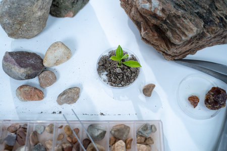 In the laboratory, research equipment rests on the table as scientists analyze rock samples, using advanced geology techniques to make groundbreaking discoveries in science.の写真素材