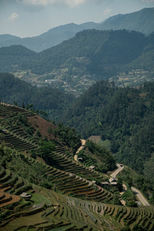Terrace fields blanket the green mountains of Vietnam, where rice agriculture thrives-an iconic...