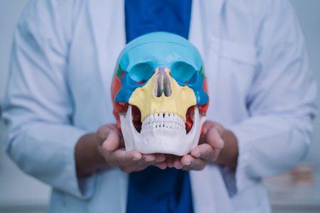 In the realm of health care, the doctor utilized a model of the human skull to enhance education in...