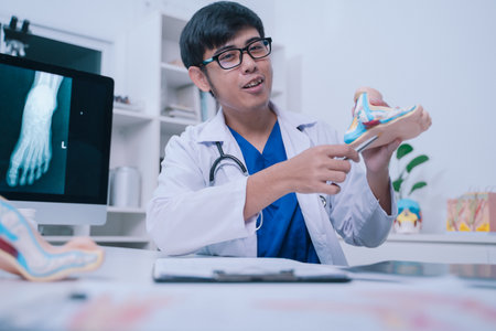 At the hospital, the doctor, a skilled teacher in anatomy, used a model to demonstrate the human leg...