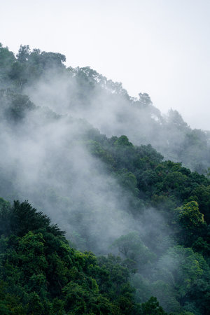 In the morning, the mountain landscape is veiled in a misty fog, with clouds drifting across the...