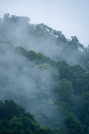 In the morning, the mountain landscape is veiled in a misty fog, with clouds drifting across the...