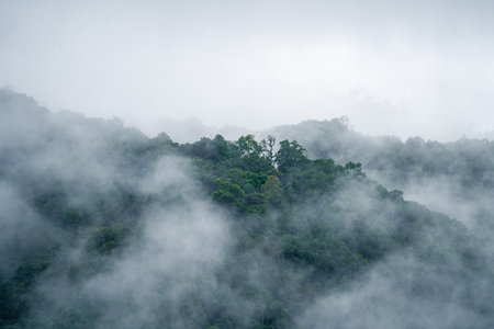 In the morning, the mountain landscape is veiled in a misty fog, with clouds drifting across the...