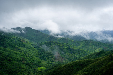 In the morning, the mountain landscape is veiled in a misty fog, with clouds drifting across the sky, while a solitary tree stands tall, embracing nature's serene beauty.の写真素材