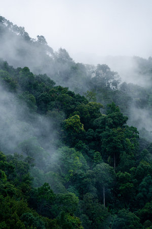 In the morning, the mountain landscape is veiled in a misty fog, with clouds drifting across the...