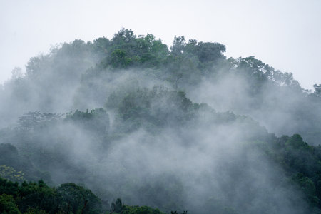 In the morning, the mountain landscape is veiled in a misty fog, with clouds drifting across the...