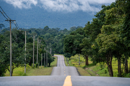 A winding highway of asphalt cuts through the mountain landscape, where nature thrives, trees guard...
