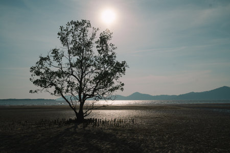 In summer, we travel to the beach where the ocean meets the sea, water sparkles under the sun, and natureâs beauty turns every vacation into a perfect escape.の写真素材