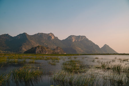 The mountain looms over a green landscape where a swamp meets a tranquil lake, water reflecting the sky, a single cloud drifting in peaceful, untouched nature.の写真素材