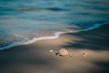In summer, we travel to the beach where the ocean meets the sea, water sparkles under the sun, and...
