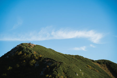 Travel beneath the high mountain where each tree rises from the forest, as cloud shadows drift...
