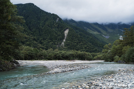 Across the green mountain landscape, a clear stream of water winds past every rock and through the forest, revealing the quiet strength and beauty of untouched nature.の写真素材