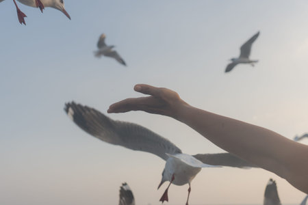 A hand reaching out to birds in flight reflects a calm nature lifestyle, inspiring travel and...