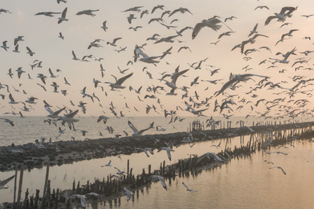 A bird rests near calm water in a quiet mangrove forest, a beautiful wildlife animal symbol of nature and freedom, inspiring peaceful travel moments for those who love the wild.の写真素材