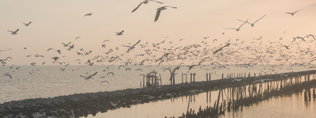 A bird rests near calm water in a quiet mangrove forest, a beautiful wildlife animal symbol of nature and freedom, inspiring peaceful travel moments for those who love the wild.の写真素材