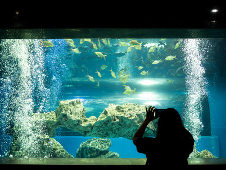 Woman taking a photo of fish in the aquariumの写真素材