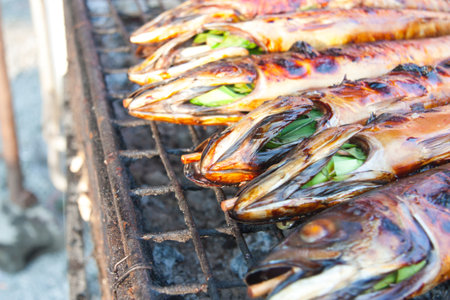 Herb Grilled Fish Thailand 