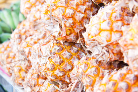 Pineappleの写真素材