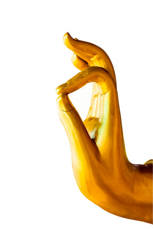 Buddha hand white background.の写真素材