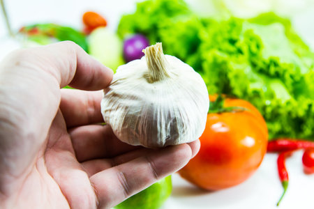 Different types of vegetablesの写真素材