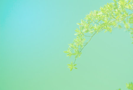 Leaves and soft twigs focus with pastel colors.