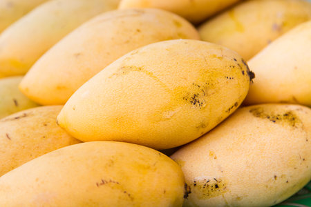 Mango and arrangementの写真素材