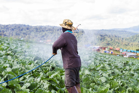 Farmers are spraying the garden sprouts.の写真素材