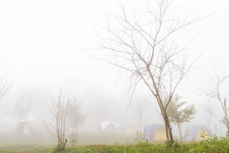 Winter camping in Thailand.の写真素材