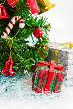 Isolated Christmas tree and the festival of happiness of all.の写真素材