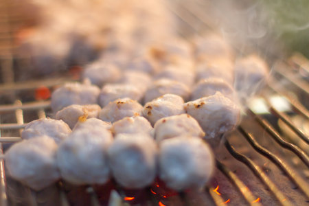 Meatballs, baked and grilled dishes.の写真素材
