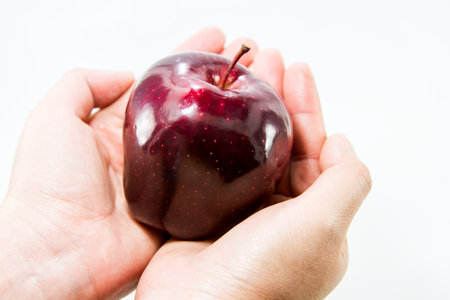 Apple is on hand with a white background.の写真素材