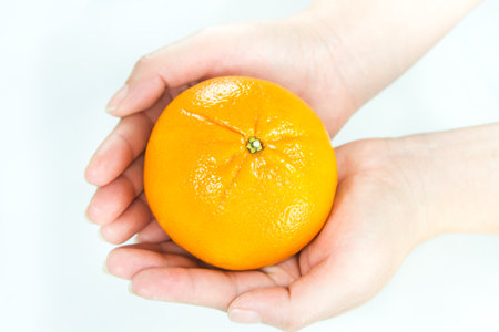 Tangerine, orange on hand.の写真素材