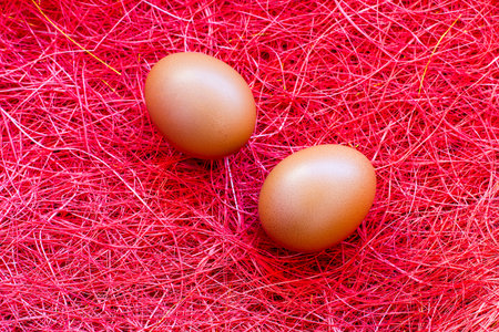 Fresh eggs and straw on red.の写真素材