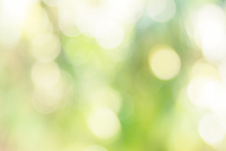 Bokeh background and abstract. It is a natural image.の写真素材