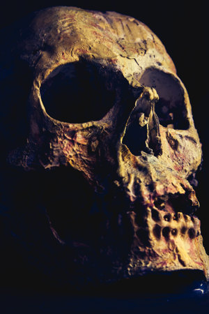 Skull in the shadows, something terrible and death and making pictures vintage dark and look oldの写真素材