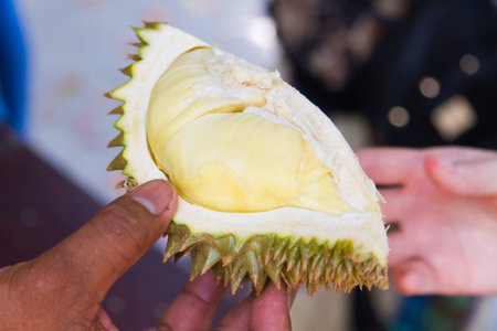 Durian is a fruit that has been very popular in Thailand and around the world.